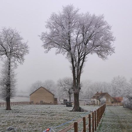 Bienvenue A La Grenouillere Villa Le Magny  ภายนอก รูปภาพ